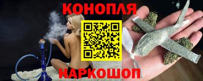 прущие грибы Шахты