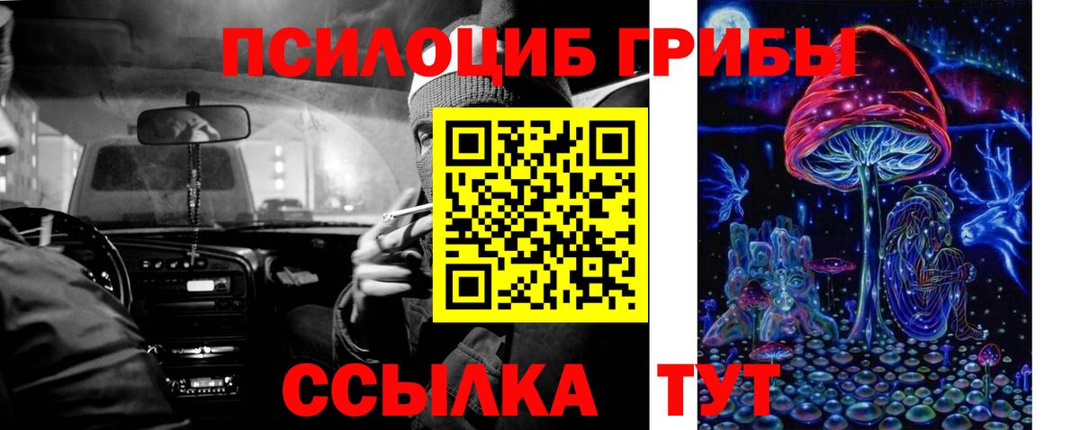 Малоярославец  Псилоцибиновые грибы Psilocybe  Вход с VPN 