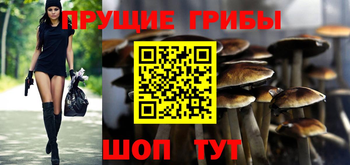 Галлюциногенные грибы GOLDEN TEACHER Малоярославец
